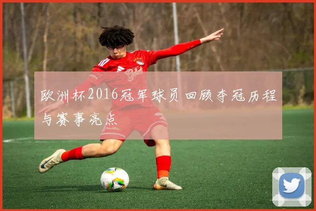 欧洲杯2016冠军球员回顾夺冠历程与赛事亮点